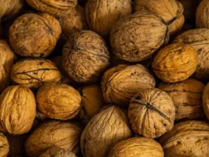 9 farver, der dominerer nordisk stueindretning i 2026