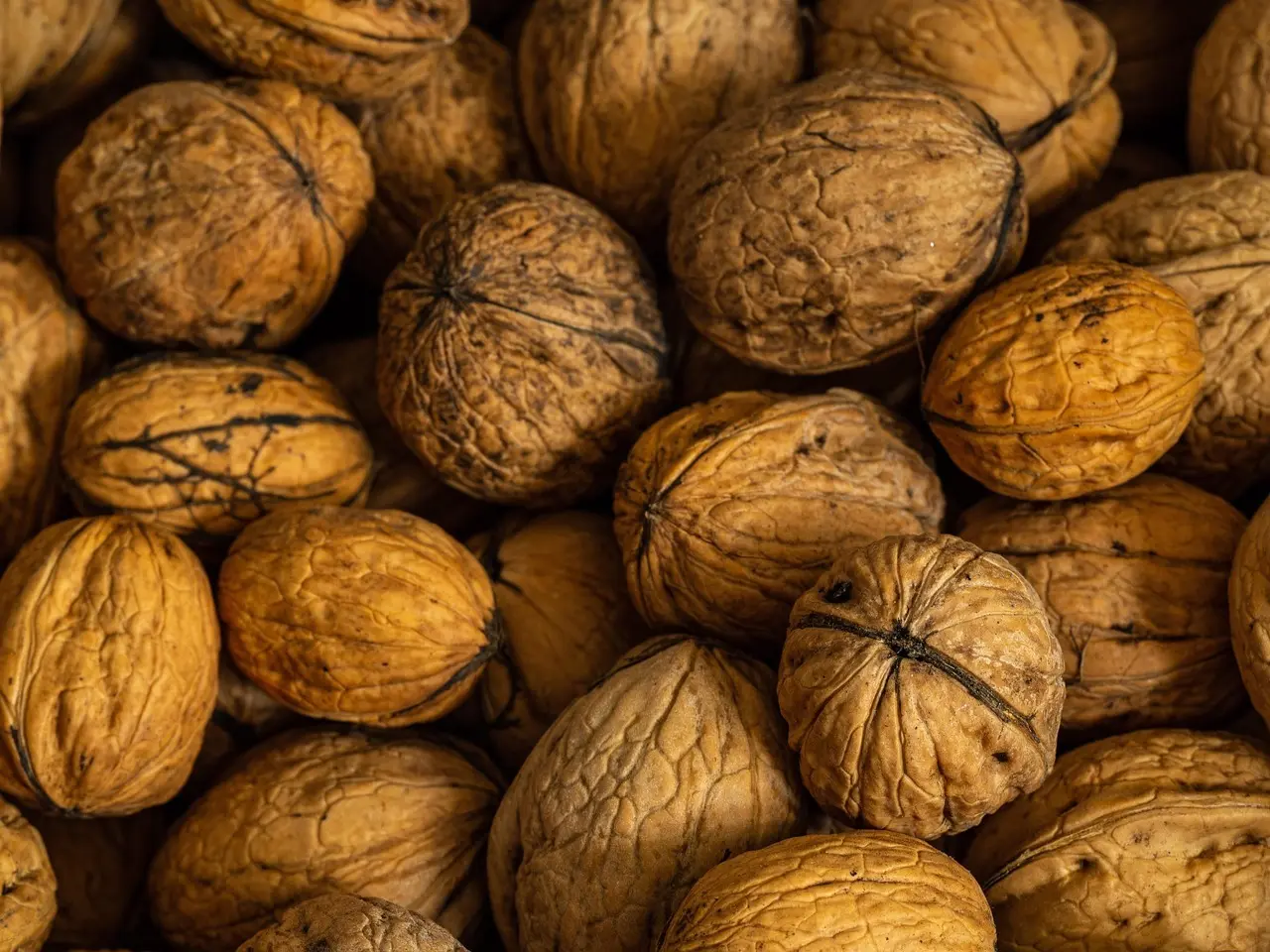 9 farver, der dominerer nordisk stueindretning i 2026