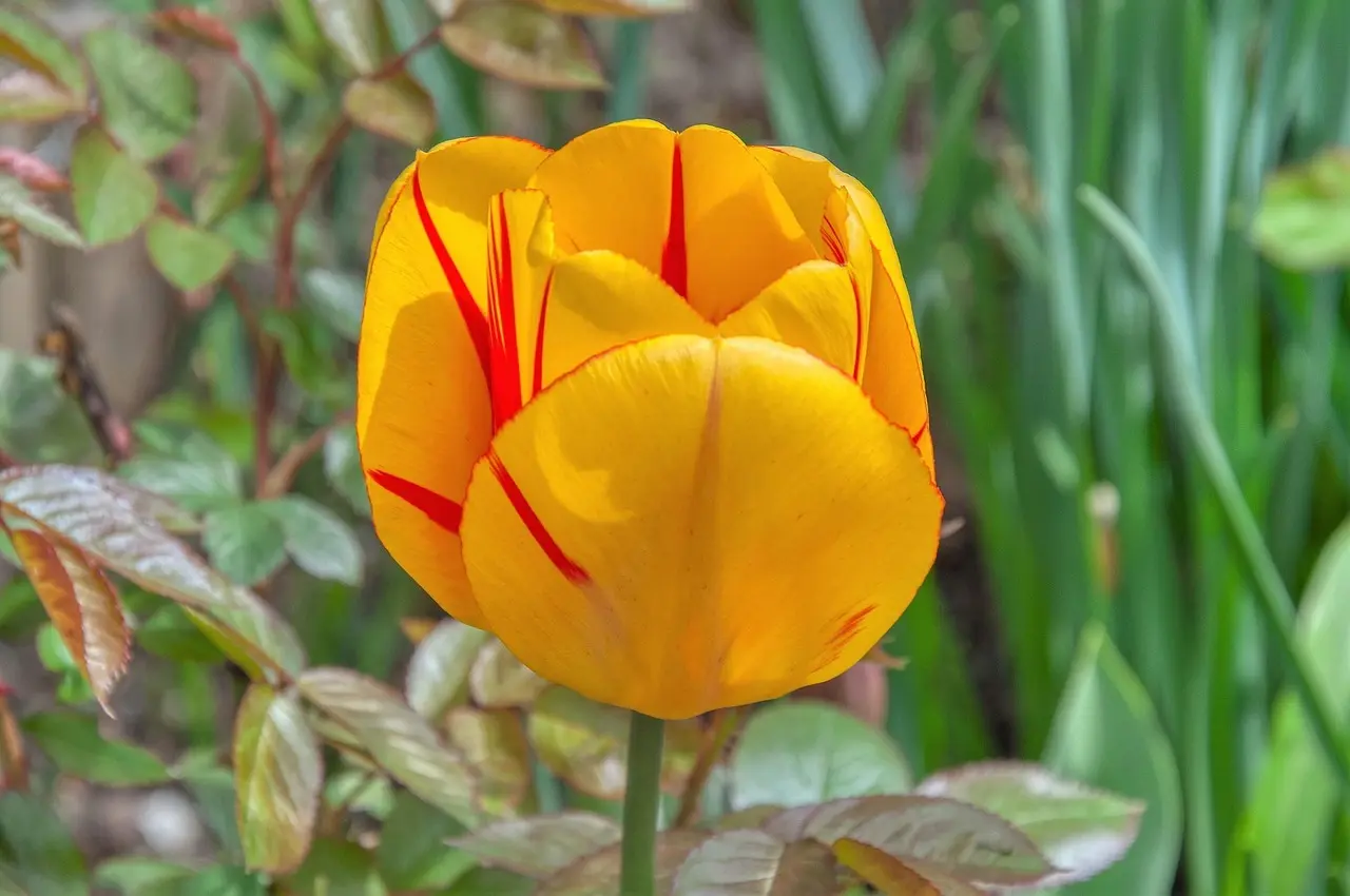 Hvilke fliser passer bedst til tofarvede køkkener i 2026?