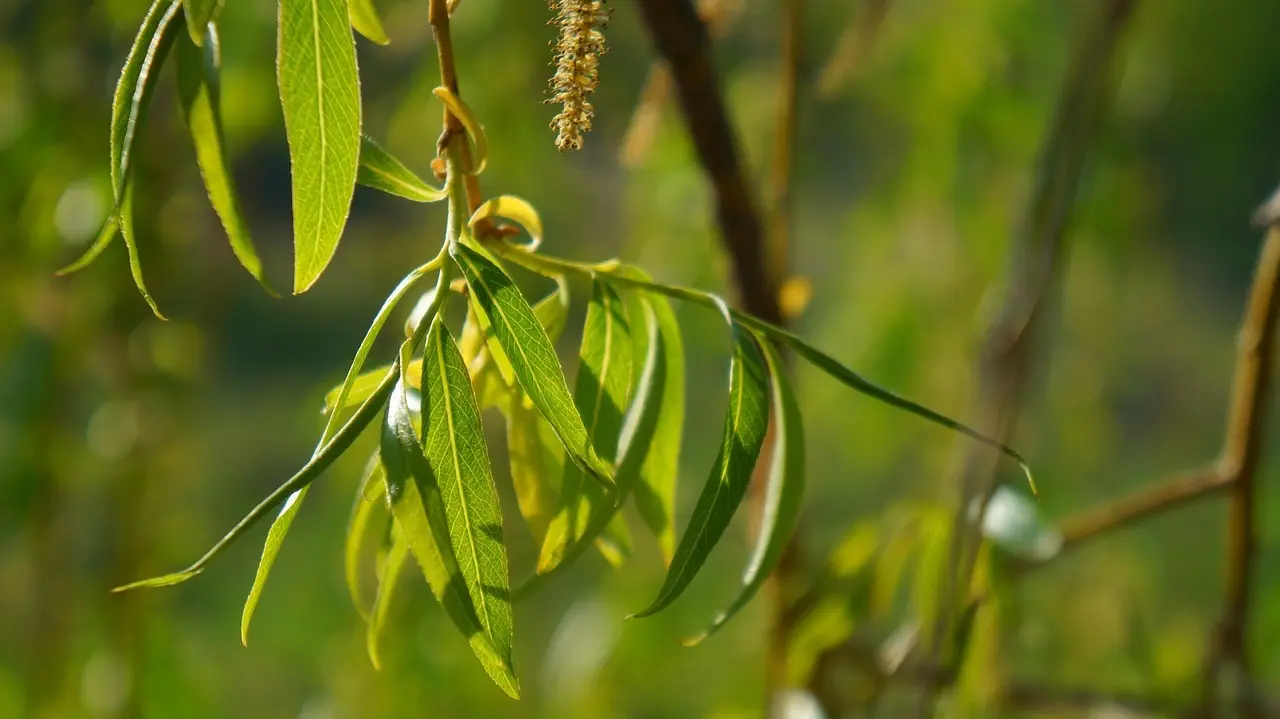 Statementlamper erstatter billedvæggen over sofaen